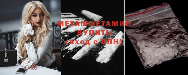 ПСИЛОЦИБИНОВЫЕ ГРИБЫ Горно-Алтайск
