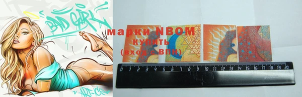 ПСИЛОЦИБИНОВЫЕ ГРИБЫ Горно-Алтайск