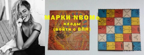 хмурый Горняк