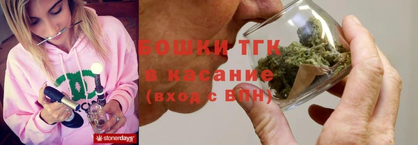 ПСИЛОЦИБИНОВЫЕ ГРИБЫ Горно-Алтайск