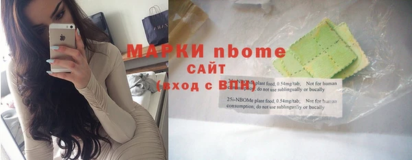 ПСИЛОЦИБИНОВЫЕ ГРИБЫ Горно-Алтайск
