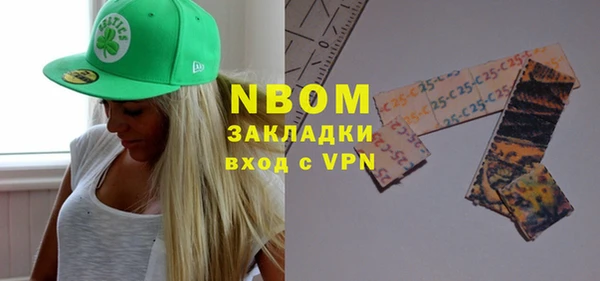 ПСИЛОЦИБИНОВЫЕ ГРИБЫ Горно-Алтайск