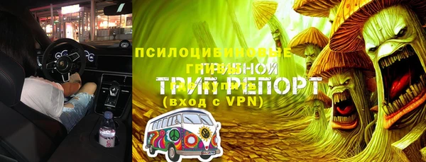 ПСИЛОЦИБИНОВЫЕ ГРИБЫ Горно-Алтайск