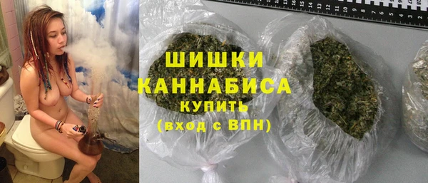 ПСИЛОЦИБИНОВЫЕ ГРИБЫ Горно-Алтайск
