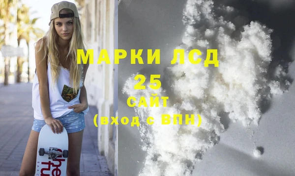 ПСИЛОЦИБИНОВЫЕ ГРИБЫ Горно-Алтайск