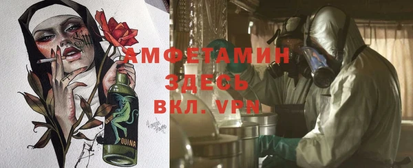 ПСИЛОЦИБИНОВЫЕ ГРИБЫ Горно-Алтайск