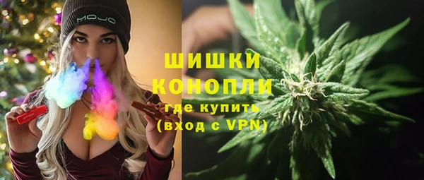 ПСИЛОЦИБИНОВЫЕ ГРИБЫ Горно-Алтайск