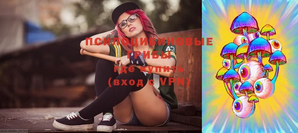 хмурый Горняк